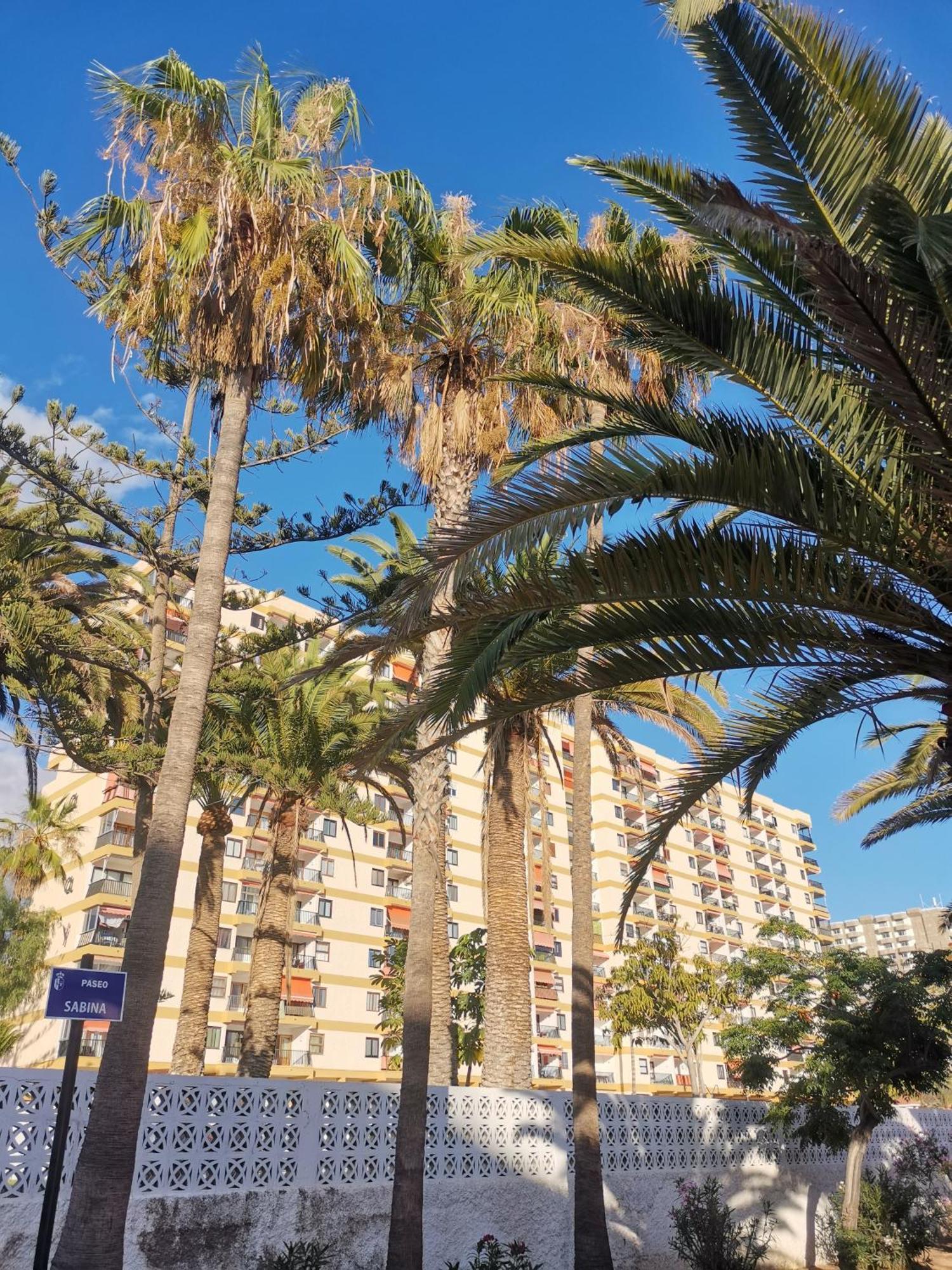 Los Cristianos Achacay Appartement Standing Vue Panoramique 외부 사진